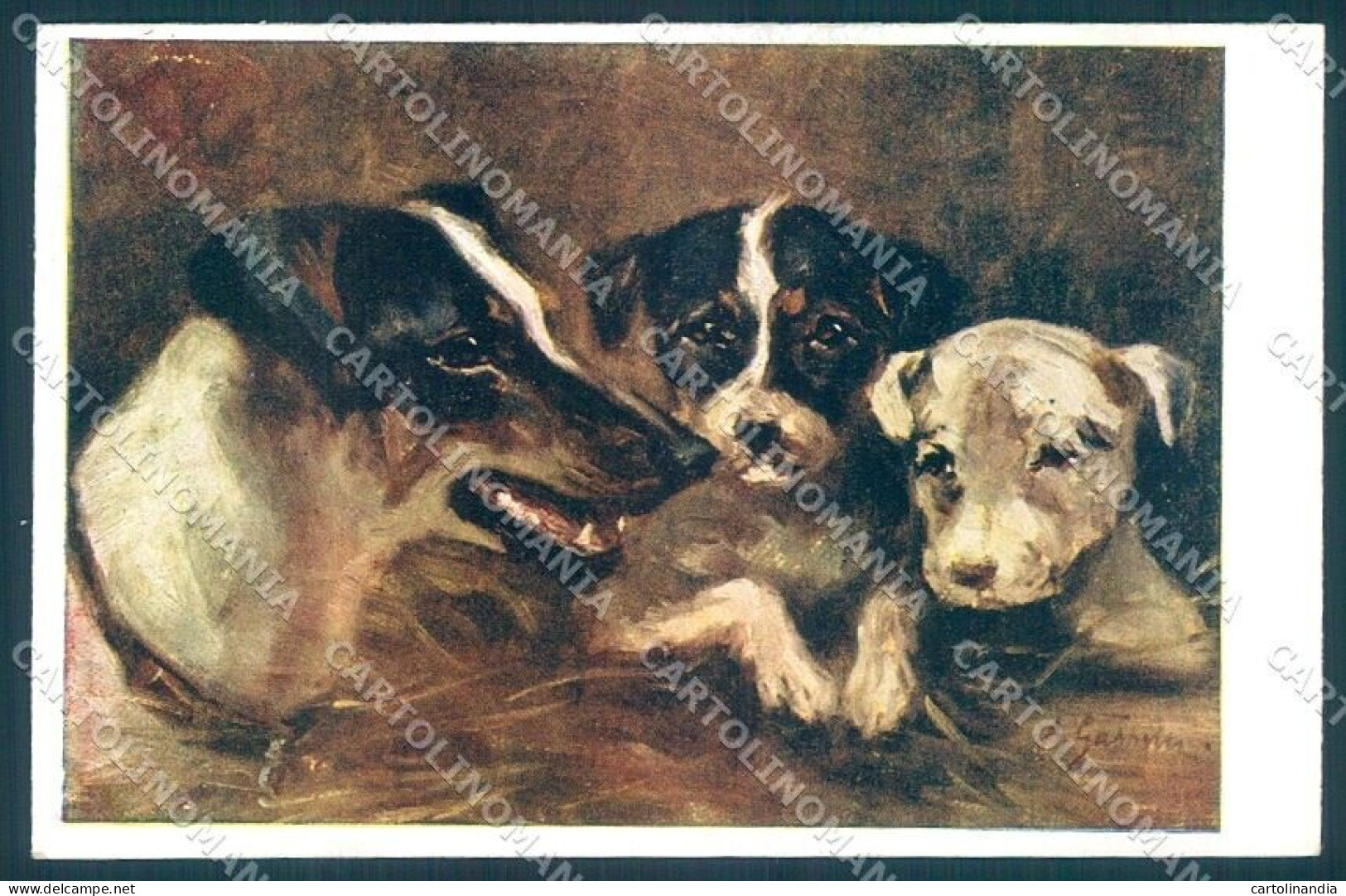 Animals Dog Fox Terrier BKWI 367-2 Cartolina Postcard TW1195 - Sonstige & Ohne Zuordnung