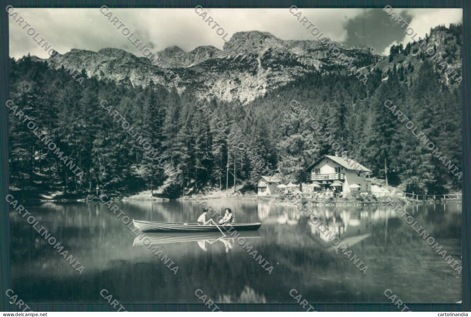 Belluno Cortina D'Ampezzo Lago Ghedina Barca Foto Cartolina ZC4708 - Belluno
