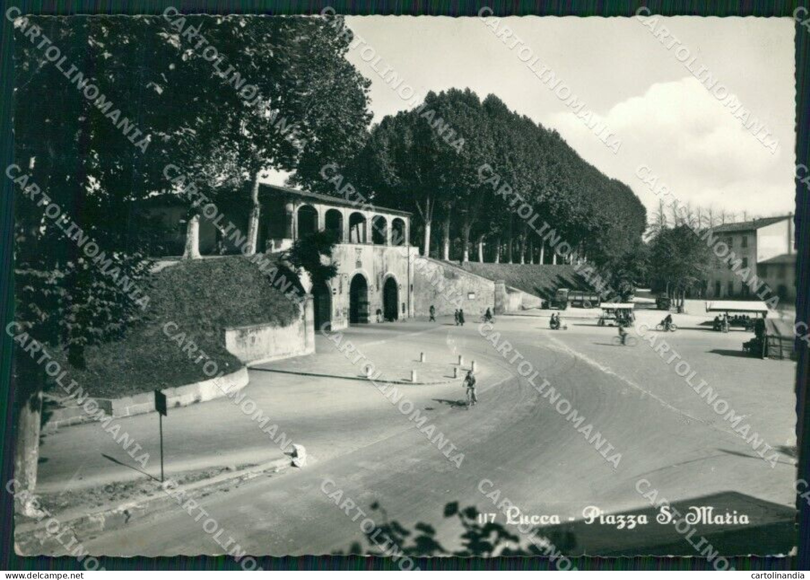 Lucca Città PIEGHINA Foto FG Cartolina ZK1349 - Lucca