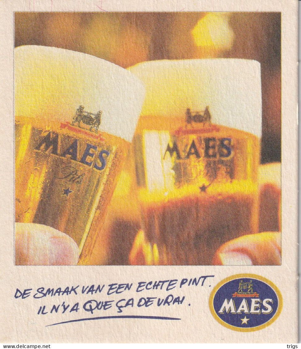 Maes - Portavasos