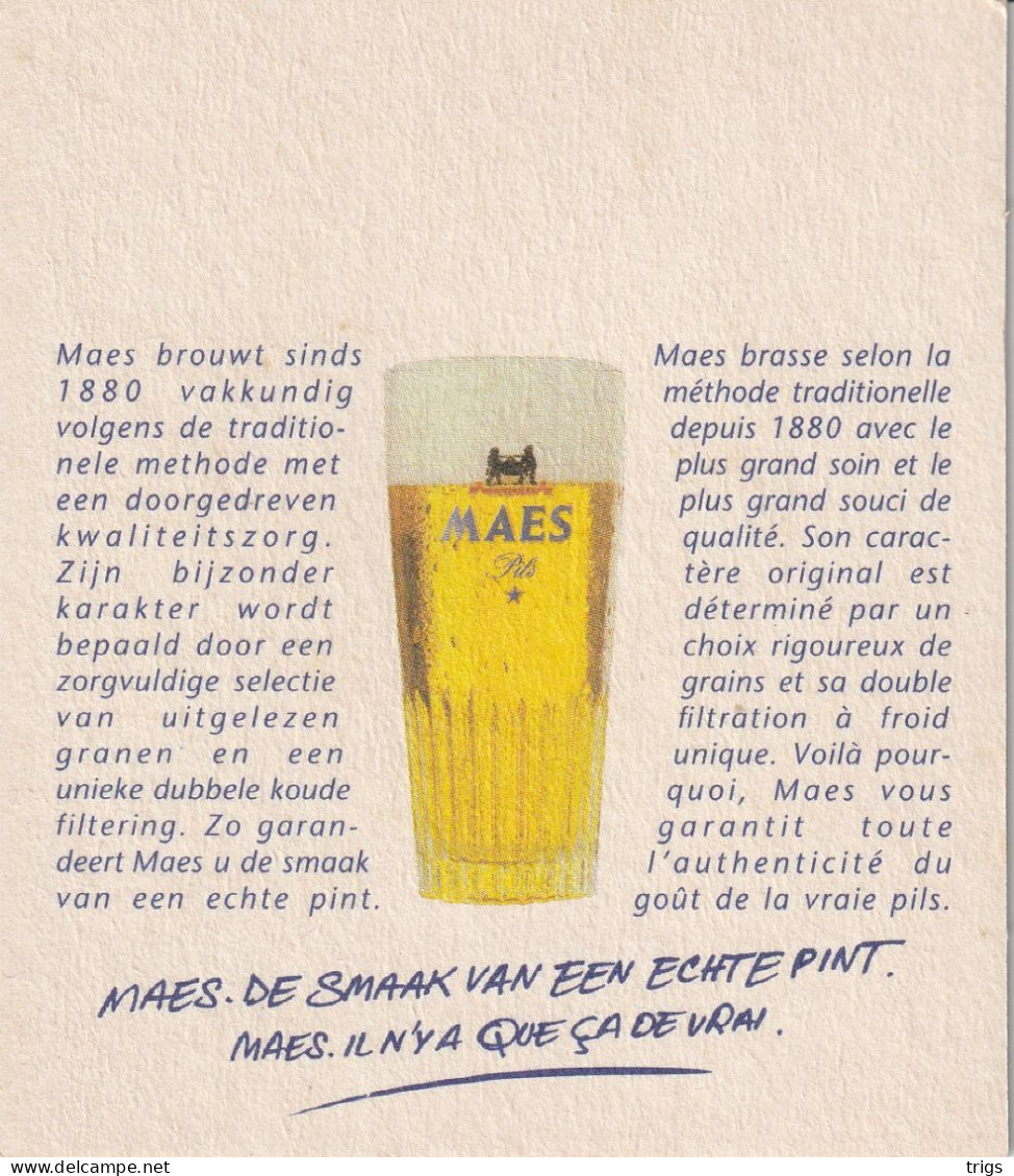 Maes - Portavasos