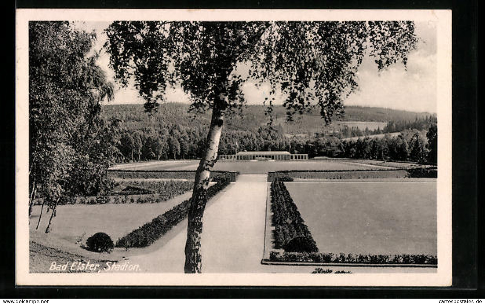 AK Bad Elster, Blick Auf Das Stadion  - Bad Elster