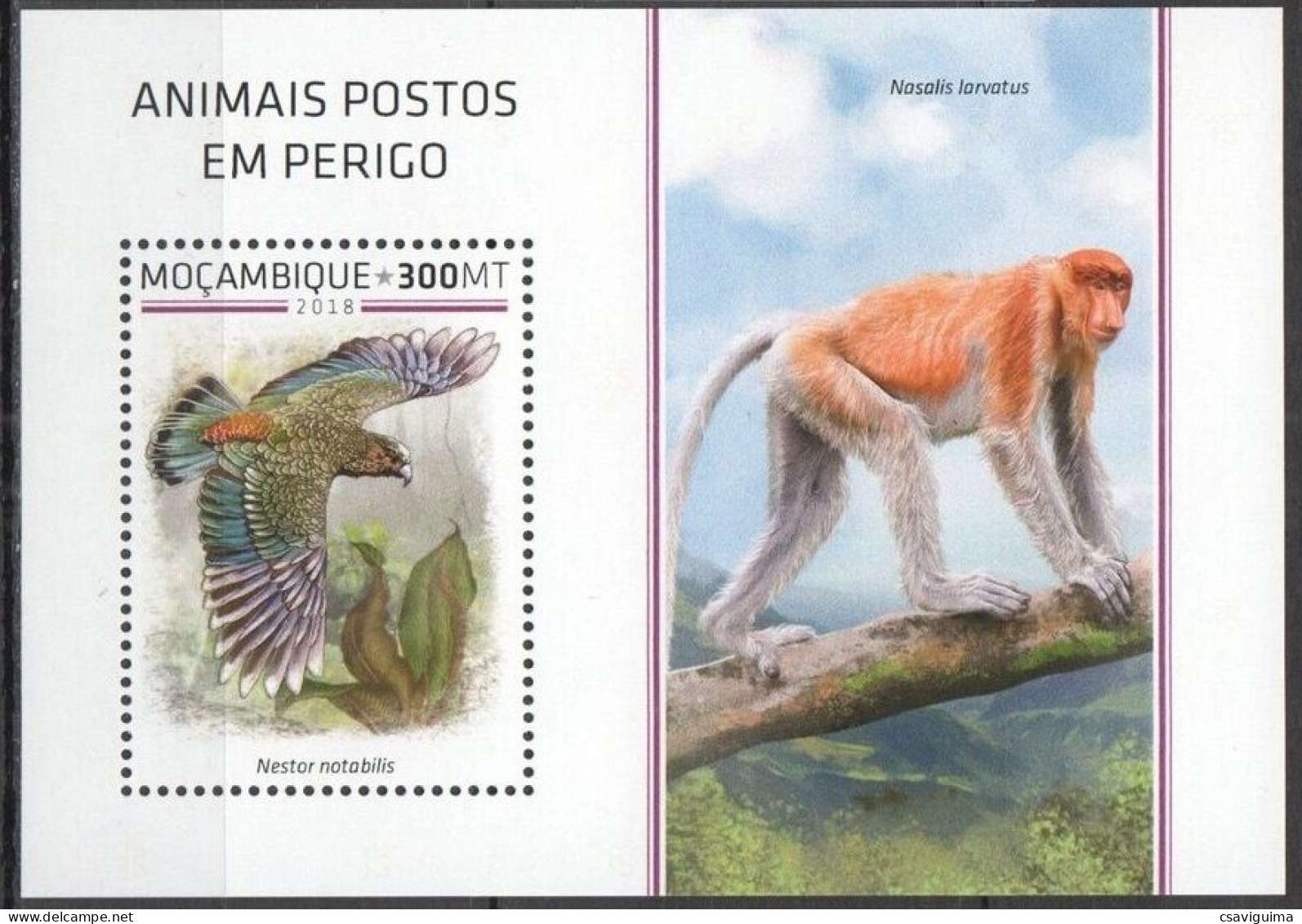 Mozambique - 2018 - Birds - Yv Bf 1361 - Autres & Non Classés