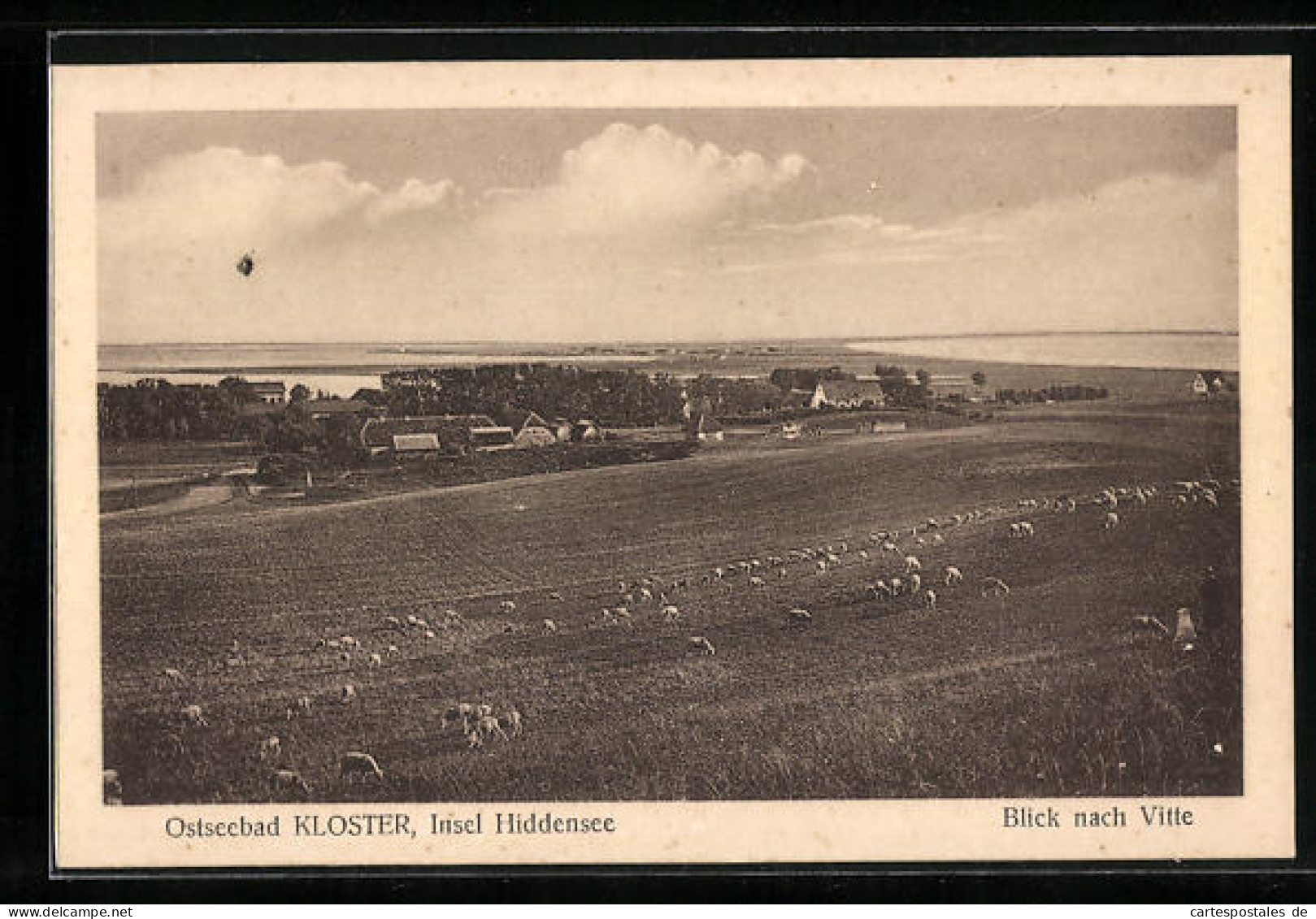 AK Kloster /Hiddensee, Blick Nach Vitte  - Hiddensee