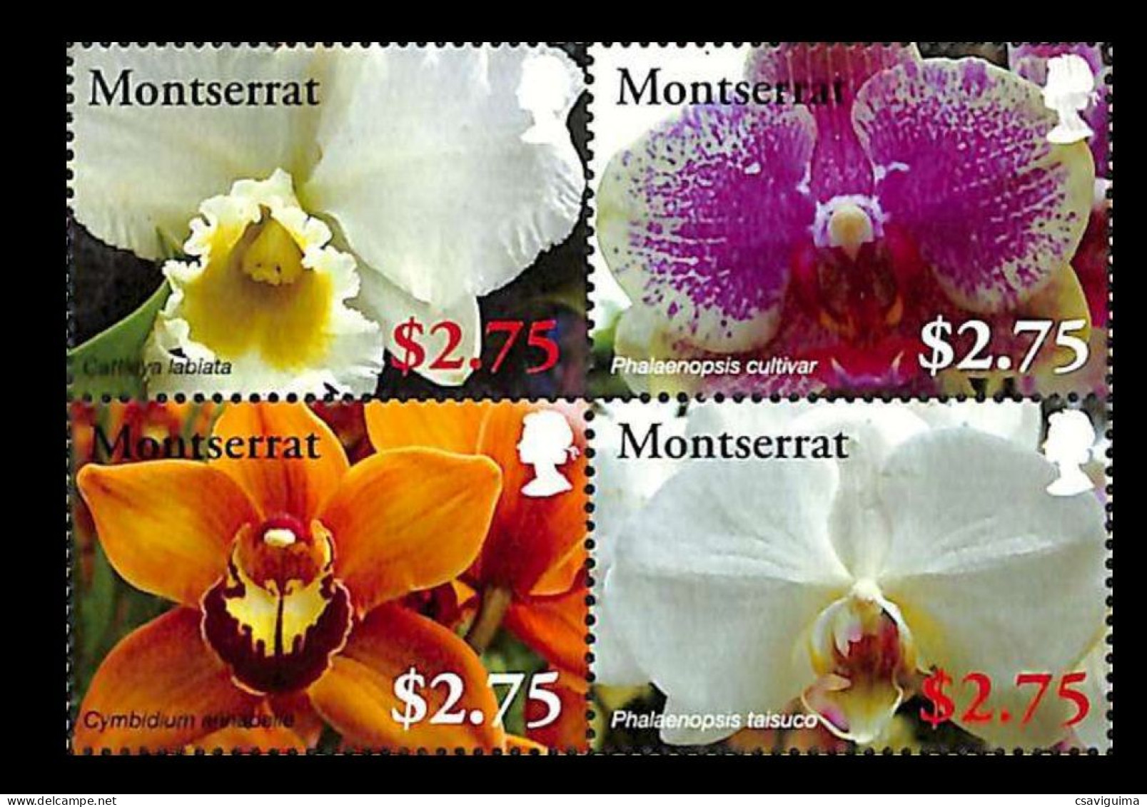 Montserrat - 2008 - Birds - Yv 1303E/H (from Sheet) - Orchideeën