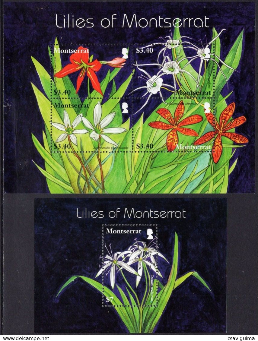 Montserrat - 2007 - Lilies Of Montserrat - Yv 1262/65 + Bl 118 - Other & Unclassified