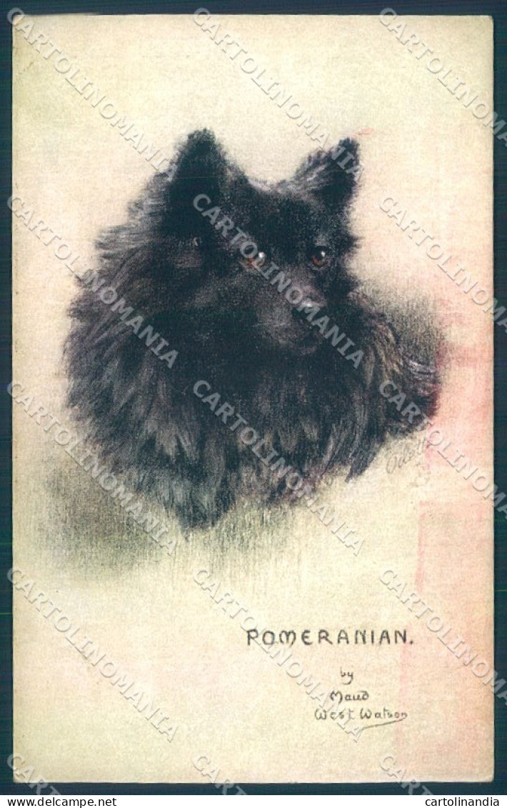 Animals Maud West Watson Dog Pomeranian Tucks Oilette 9681 Postcard TW1329 - Sonstige & Ohne Zuordnung