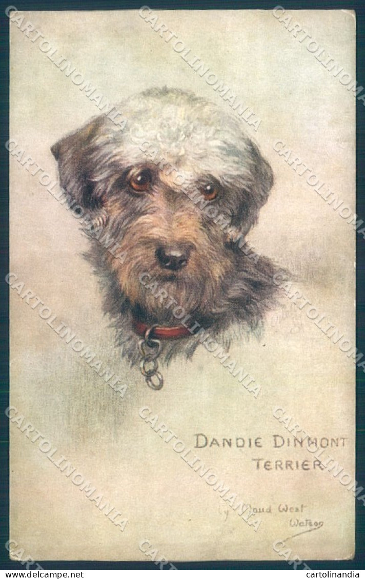 Animals Maud West Watson Dandie Dinmont Terrier Tucks Oilette 9681 Pc TW1330 - Sonstige & Ohne Zuordnung