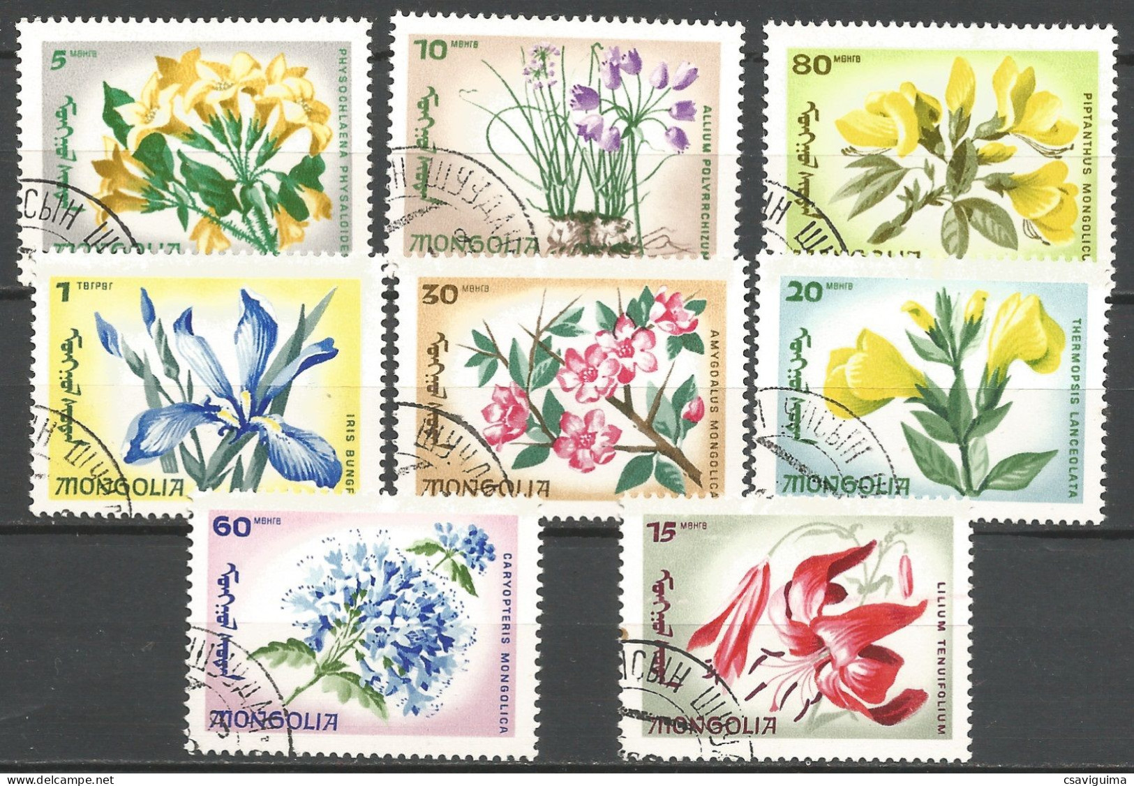 Mongolia - 1966 - Plants: Flowers - Yv 382/89 (Used, Hinged) - Otros & Sin Clasificación