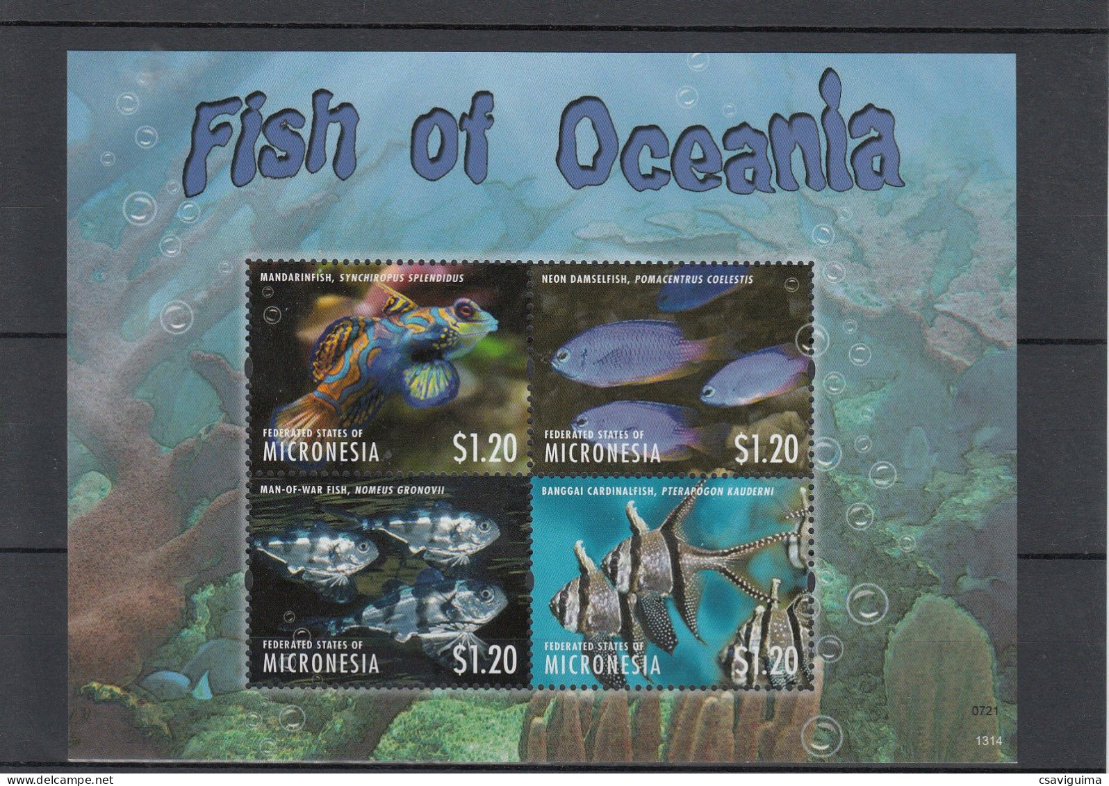Micronesia - 2013 - Fish Of Oceania - Yv 2022/25 - Fishes