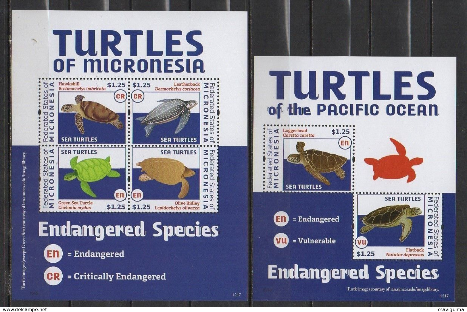 Micronesia - 2012 - Turtles - Yv 1950/53 + Bf 212 - Tortugas