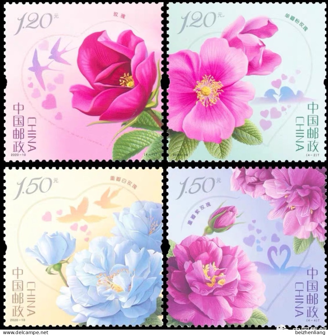 China MNH Stamp,2020-10 2020-10 Rose Love Flower，4v - Ungebraucht