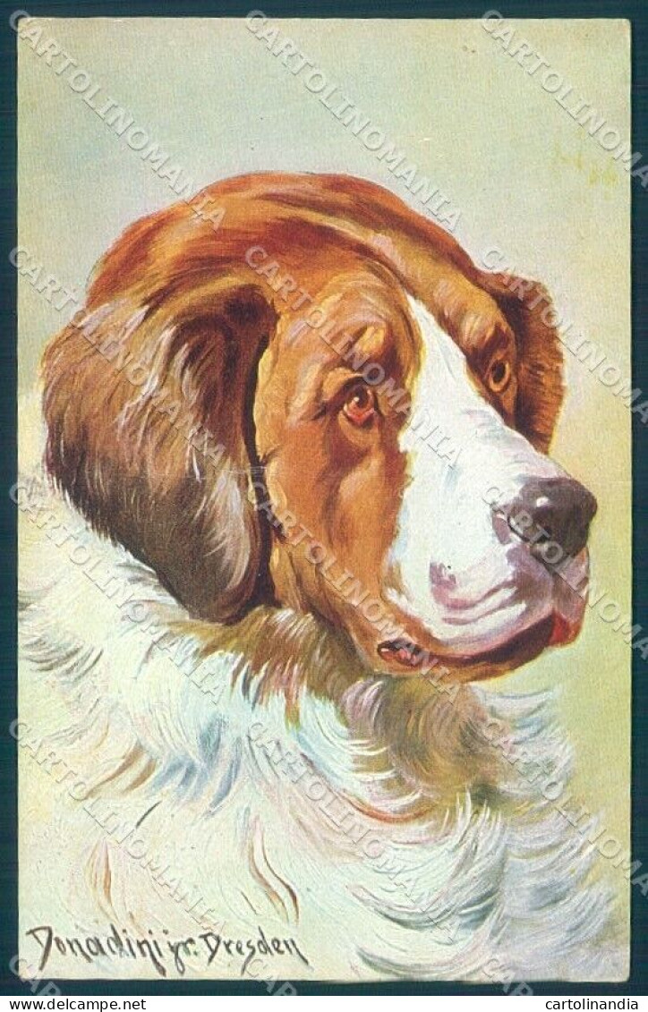 Animals Donadini Jr Saint Bernard Dog Peluba 235 Cartolina Postcard TW1142 - Sonstige & Ohne Zuordnung