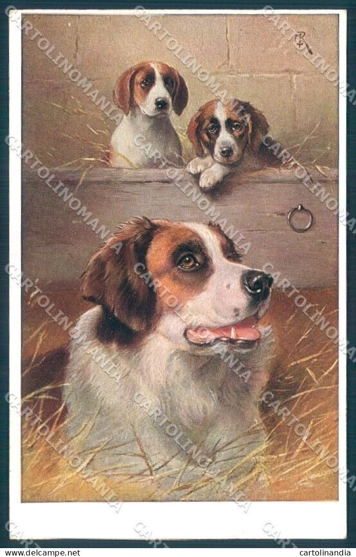 Animals Reichert Saint Bernard Dog Theo Stroefer 1544 Cartolina Postcard TW1215 - Sonstige & Ohne Zuordnung