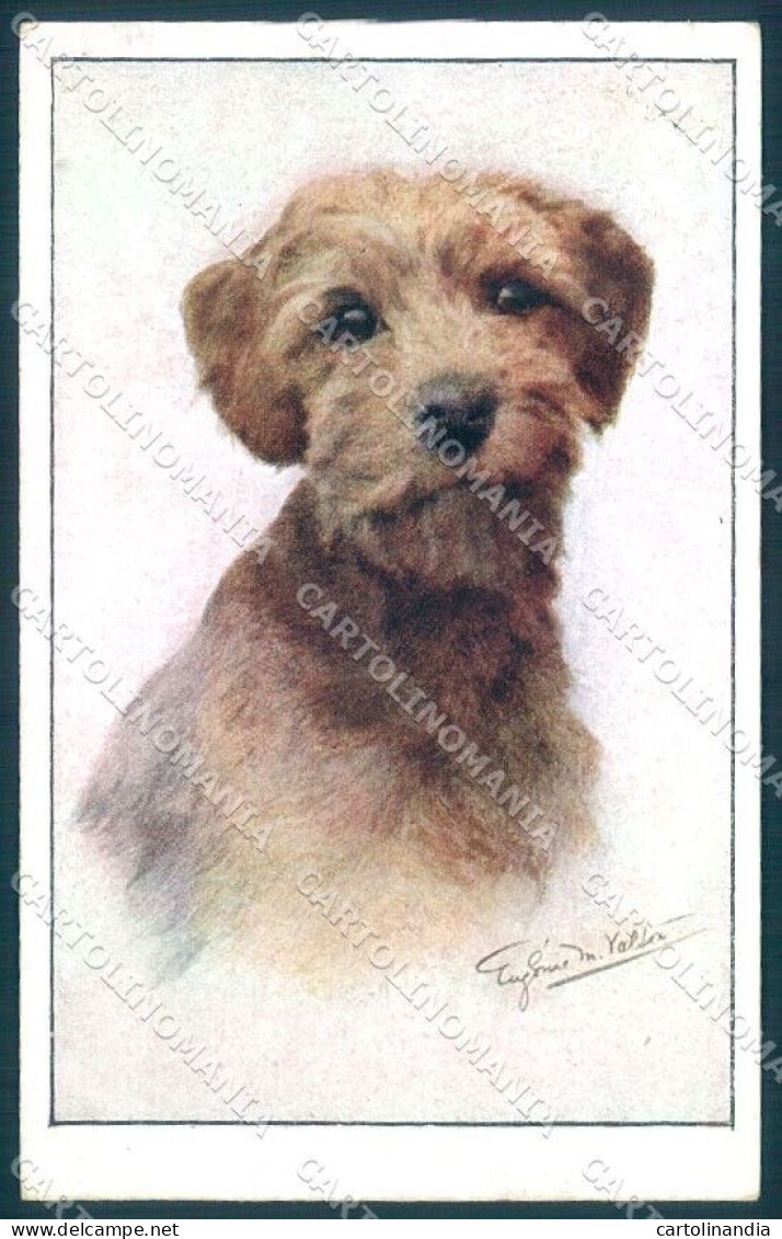 Animals Florence Valter Dog Norfolk Terrier Serie 1460-3 Postcard TW1132 - Sonstige & Ohne Zuordnung