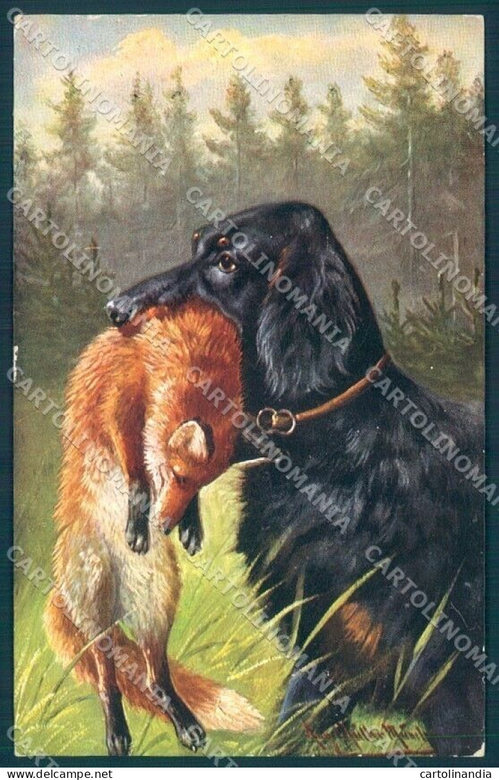 Animals Augustus Muller Austrian Hound Dog Fox Serie 500 Postcard TW1149 - Sonstige & Ohne Zuordnung
