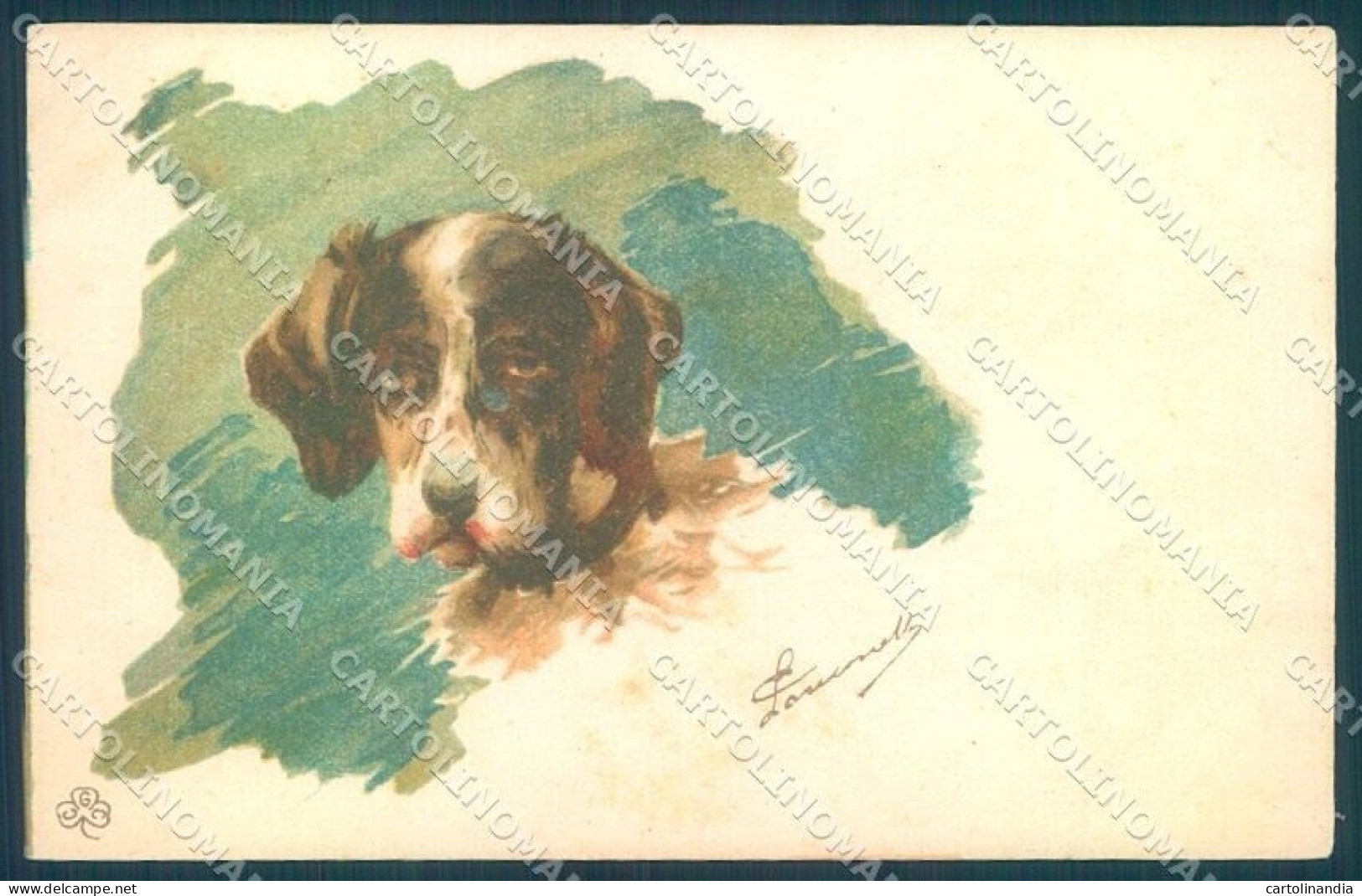 Animals Dog German Spaniel GCC Cartolina Postcard TW1146 - Sonstige & Ohne Zuordnung