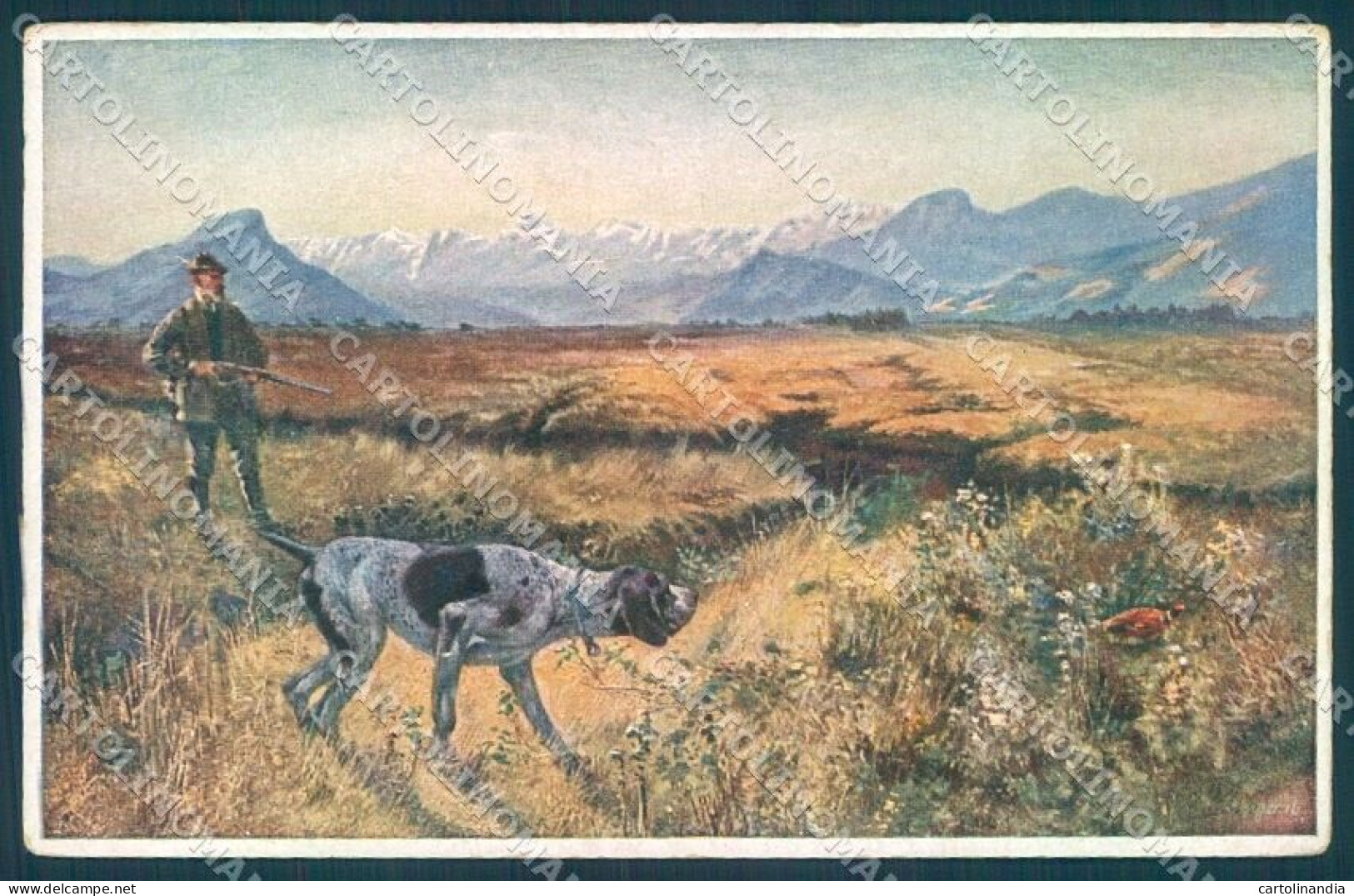 Animals Singer Dog Setter Hunting Pheasant Theo Stroefer 124 Postcard TW1145 - Sonstige & Ohne Zuordnung