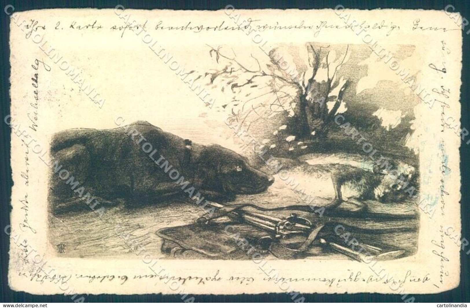 Animals Austrian Hound Dog Hunting Hare Cartolina Postcard TW1143 - Sonstige & Ohne Zuordnung