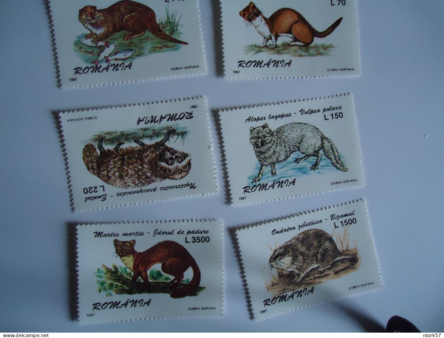 ROMANIA MNH    6 STAMPS  ANIMALS 1997 - Other & Unclassified