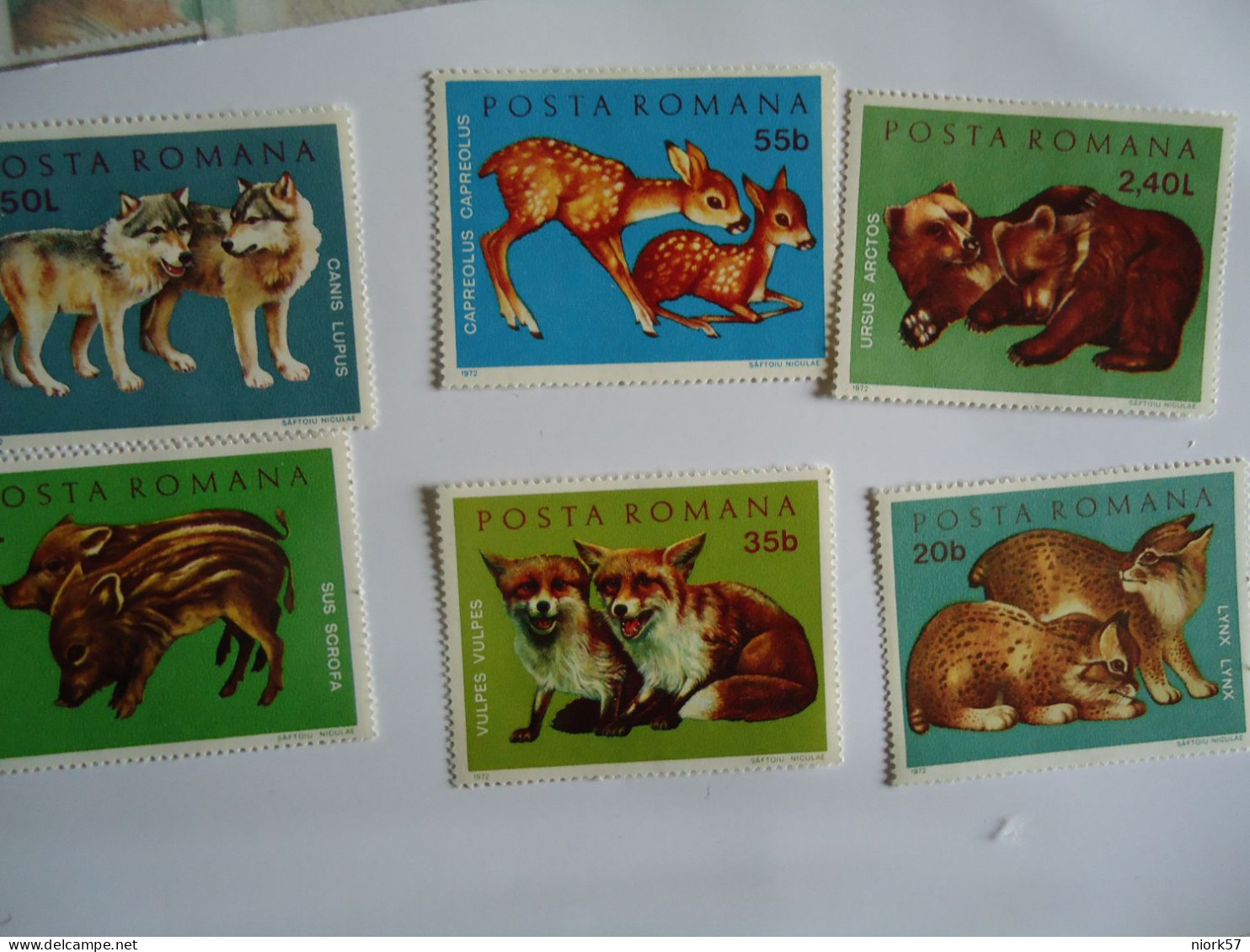 ROMANIA MNH    6 STAMPS  ANIMALS 1972 - Other & Unclassified