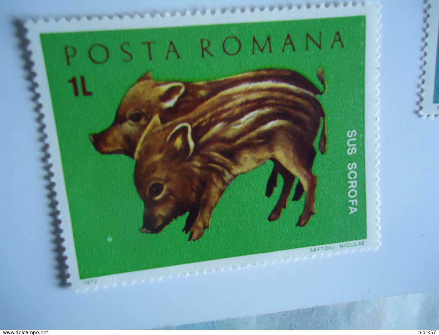 ROMANIA  MNH  ANIMALS  PORK 1972 - Sonstige & Ohne Zuordnung