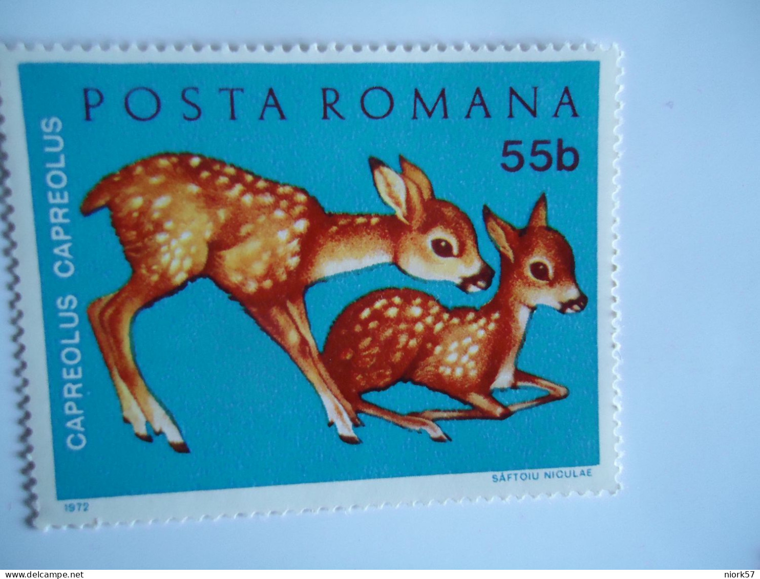 ROMANIA MNH   ANIMALS  ELK - Other & Unclassified