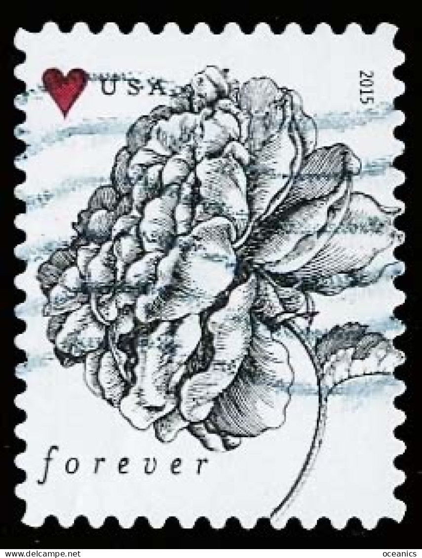 Etats-Unis / United States (Scott No.4959 - Flower) (o) - Usati