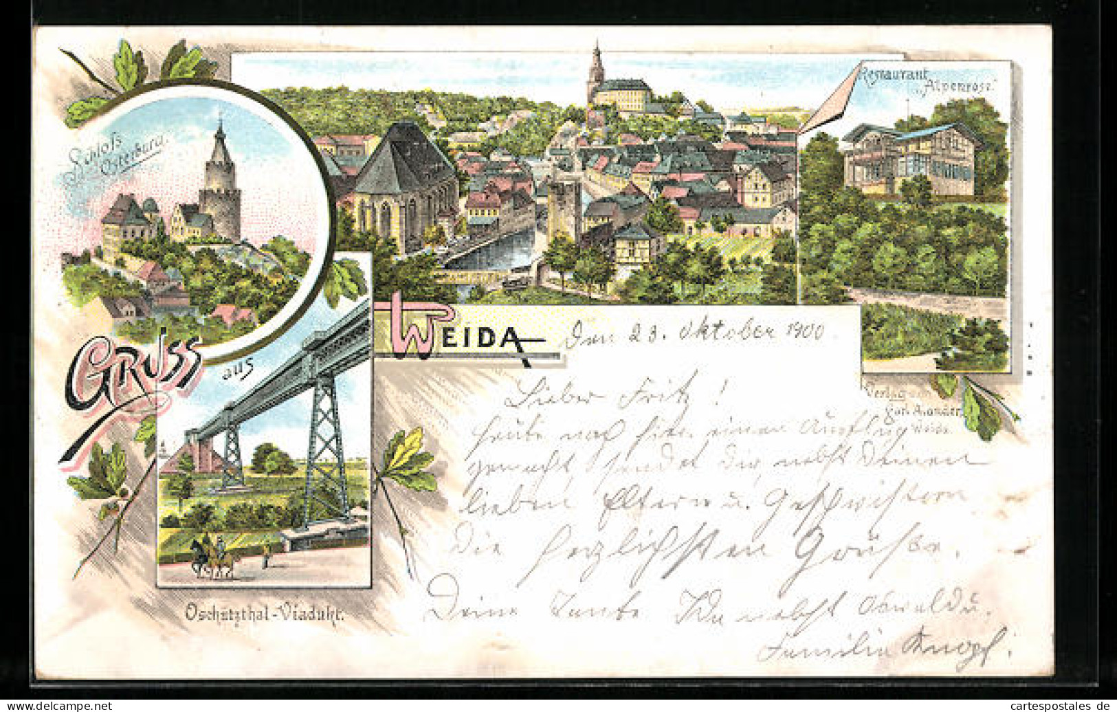 Lithographie Weida, Restaurant Alpenrose, Schloss Osterburg, Totalansicht  - Weida