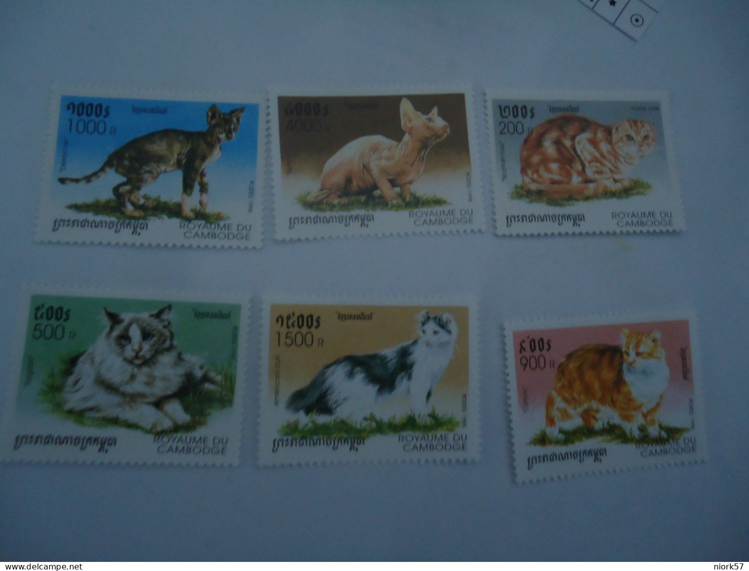 CAMBODIA  MNH   SET  ANIMALS  1998  CAT   CATS - Gatos Domésticos