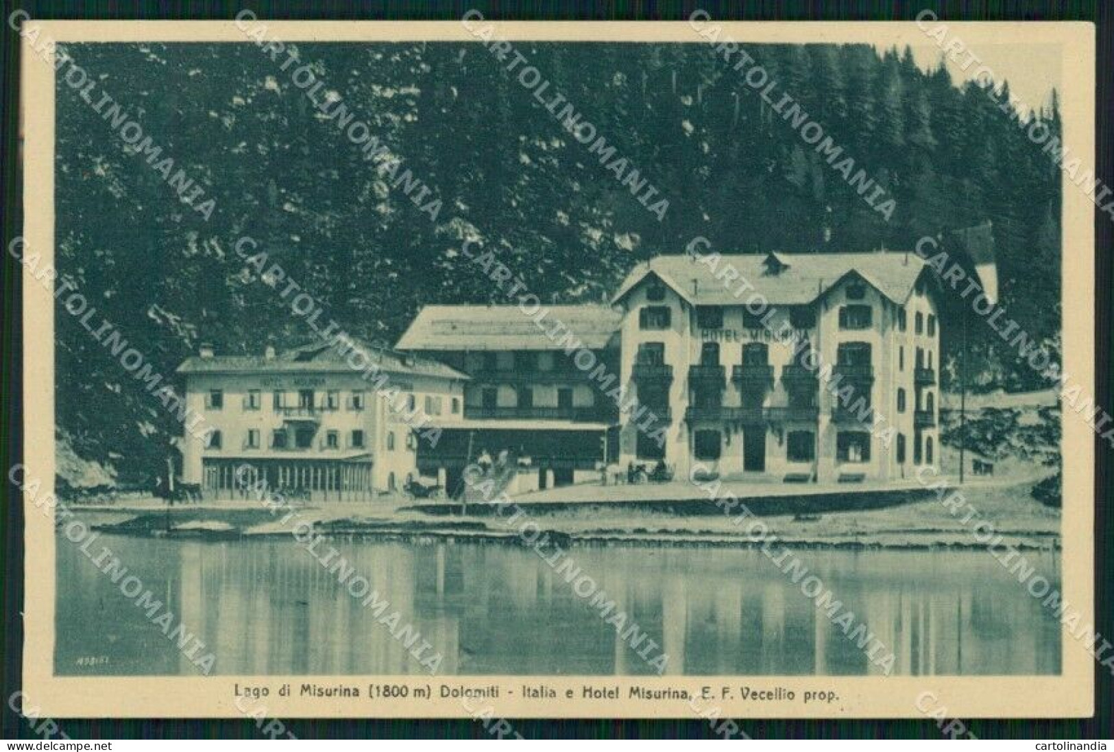 Belluno Auronzo Di Cadore Misurina Lago Hotel Misurina Cartolina RB8904 - Belluno