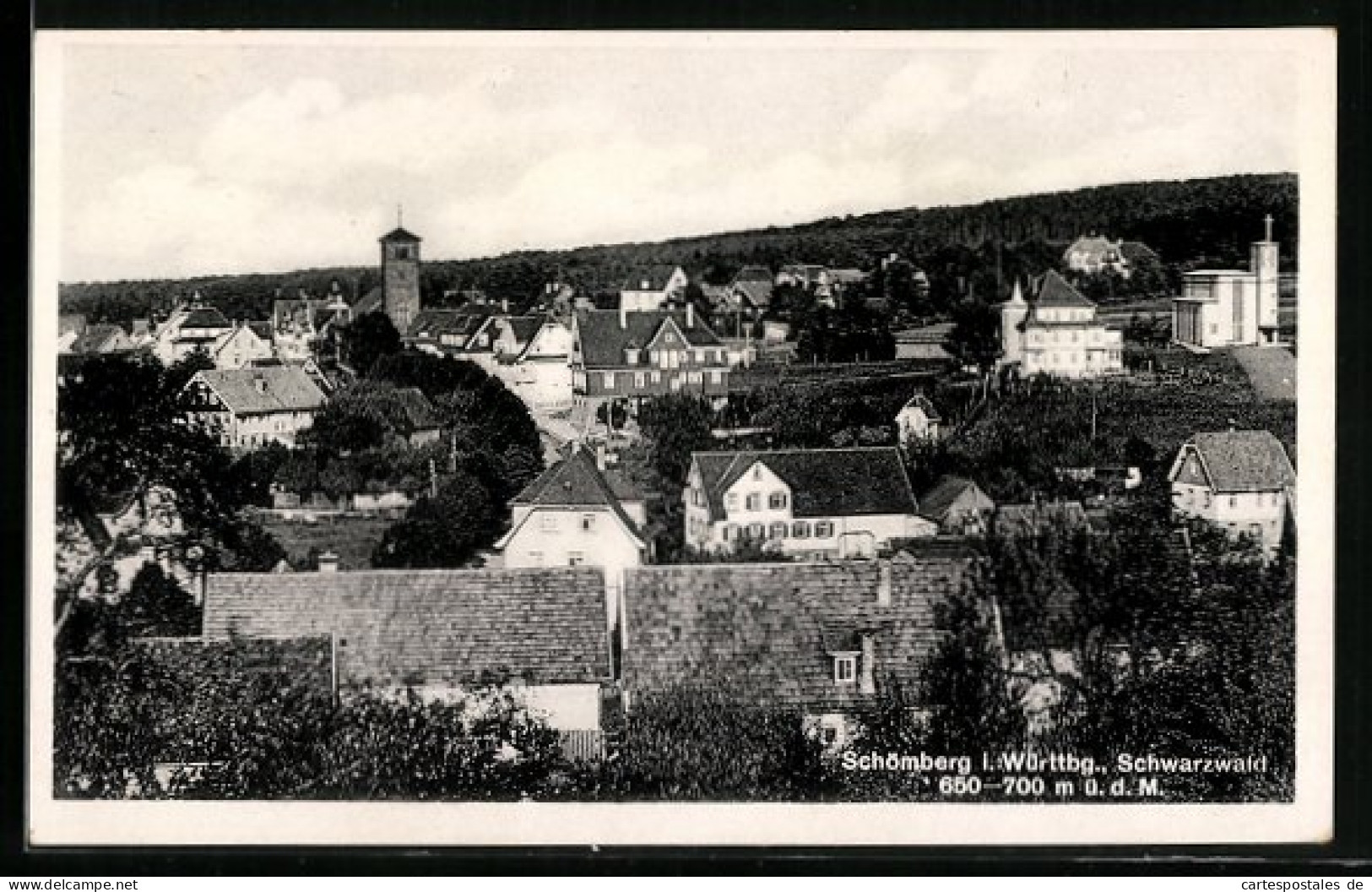 AK Schömberg I. Württemb., Gesamtansicht  - Schömberg