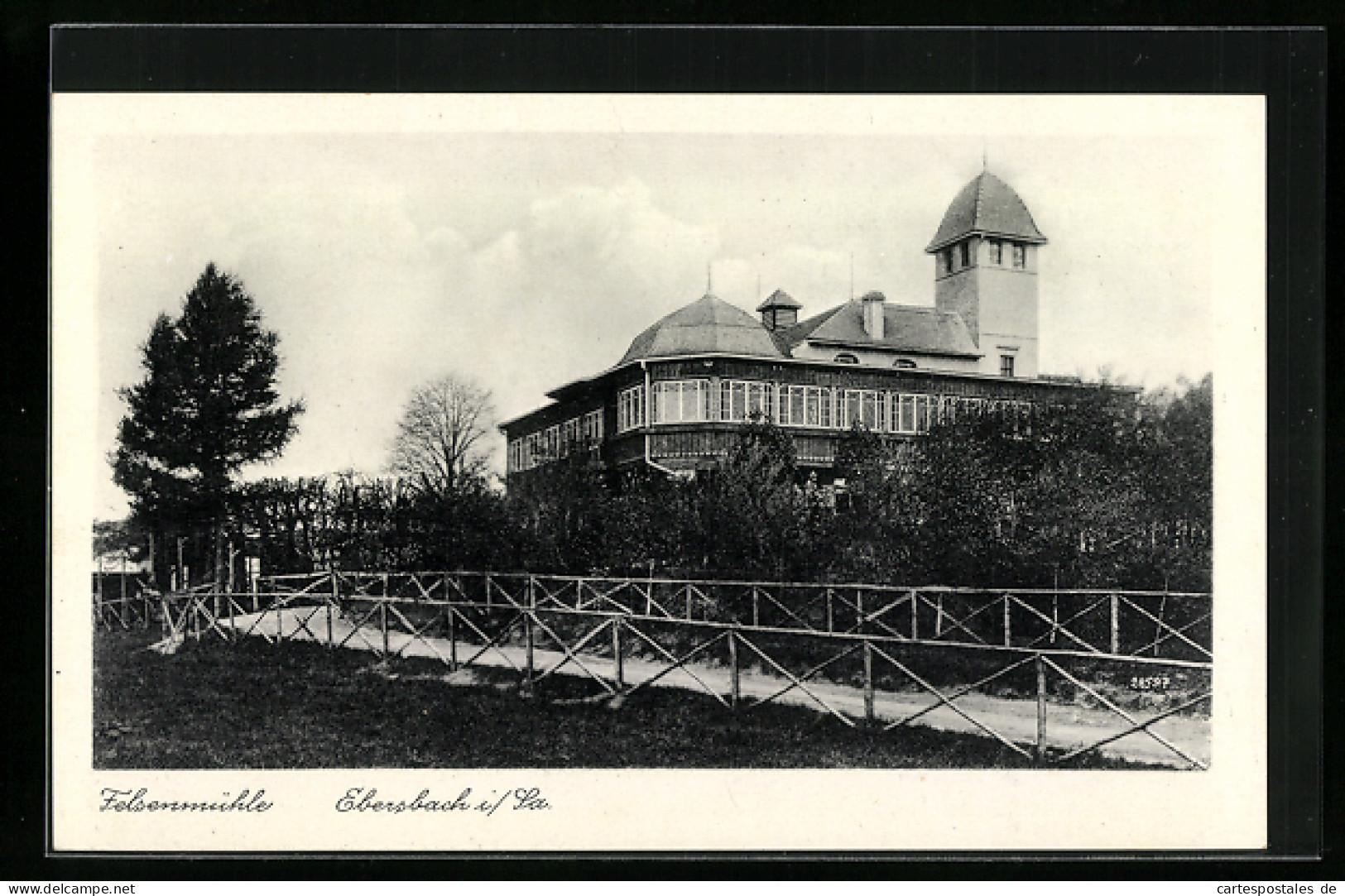 AK Ebersbach, Blick Zum Restaurant Felsenmühle  - Ebersbach (Loebau/Zittau)