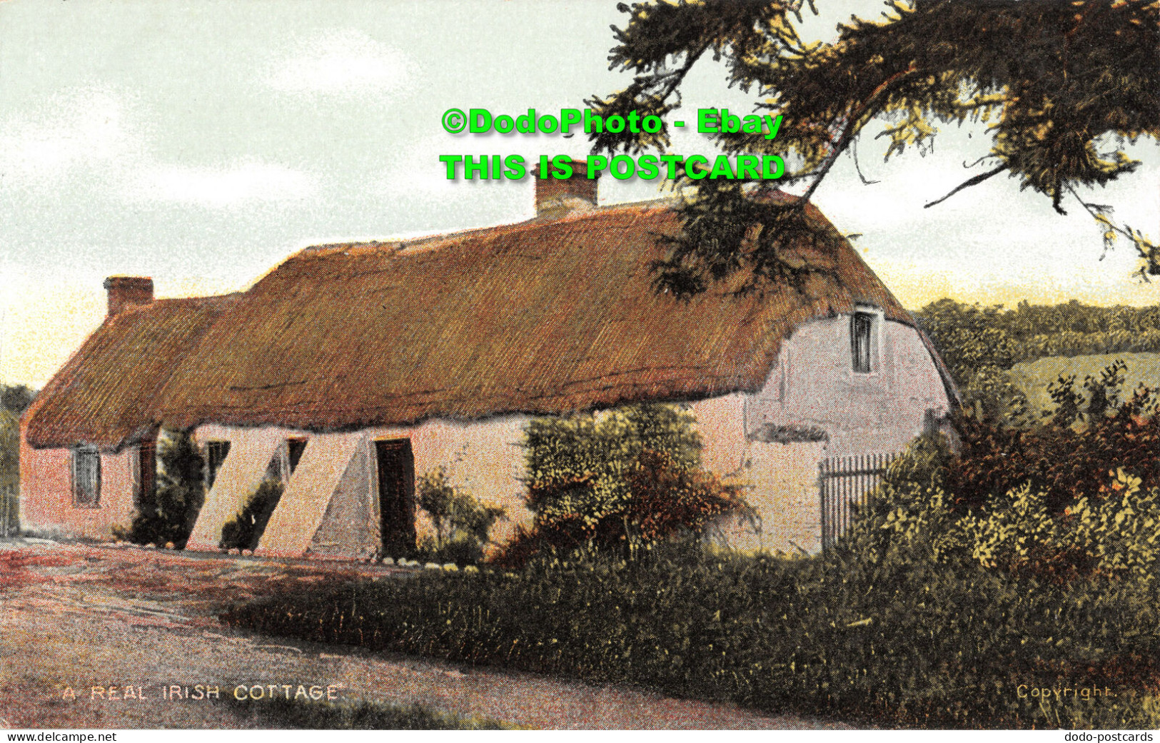 R400266 A Real Irish Cottage. Chas. L Reis - Mondo