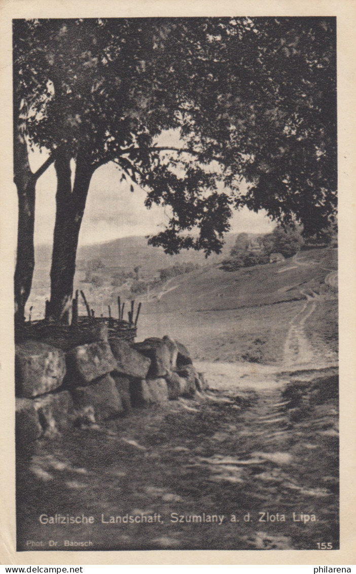 Wohlfahrts-Postkarte 1917 Galizien Feld-Post - Feldpost (Portofreiheit)