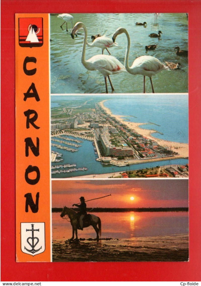 34 - CARNON  . " PORTE DE LA CAMARGUE . MULTI-VUES . FLAMANT ROSE - Réf. N°38957 - - Sonstige & Ohne Zuordnung