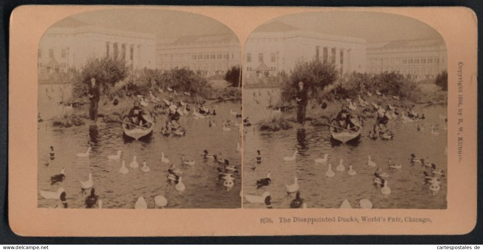 Stereo-Fotografie B. W. Kilburn, Littleton N.H., Ausstellung Worlds Fair Chicago 1893, Ententeich Mit Ruderboot  - Stereoscopic