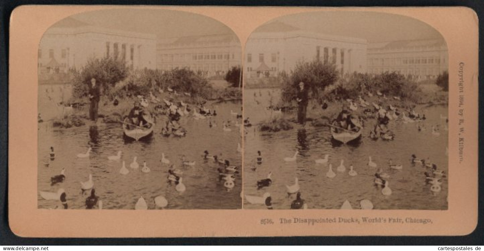 Stereo-Fotografie B. W. Kilburn, Littleton N.H., Ausstellung Worlds Fair Chicago 1893, Ententeich Mit Ruderboot  - Fotos Estereoscópicas