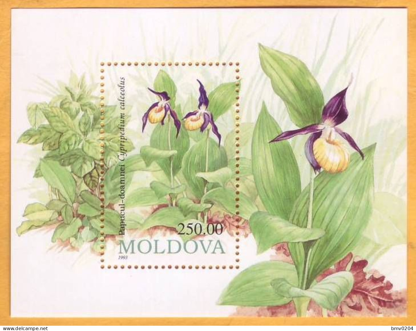 1993. Moldova Moldavie Moldau. Flowers. Violets Block Mint - Moldawien (Moldau)