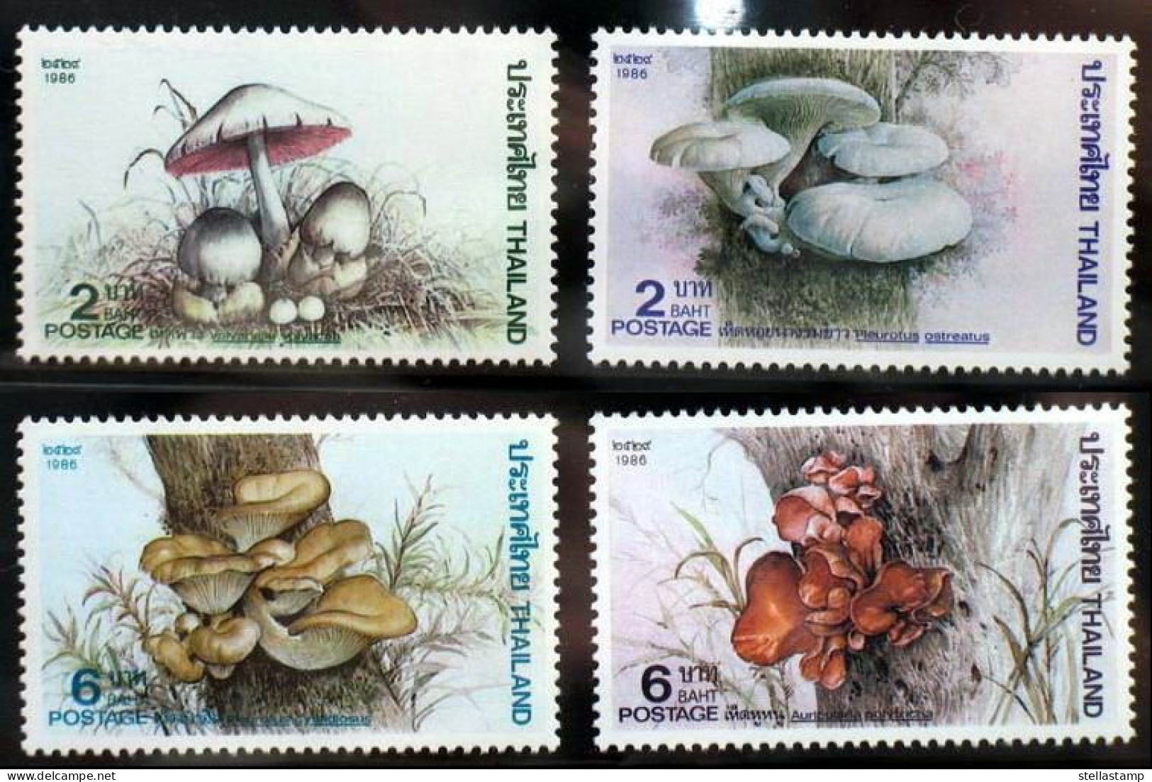 Thailand Stamp 1986 Mushrooms - Thaïlande