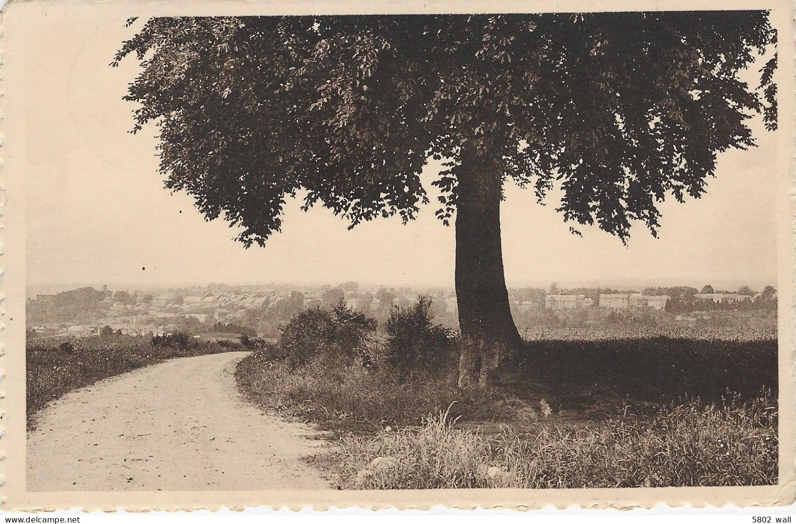 NEUFCHÂTEAU : L'arbre De La Justice - Neufchâteau