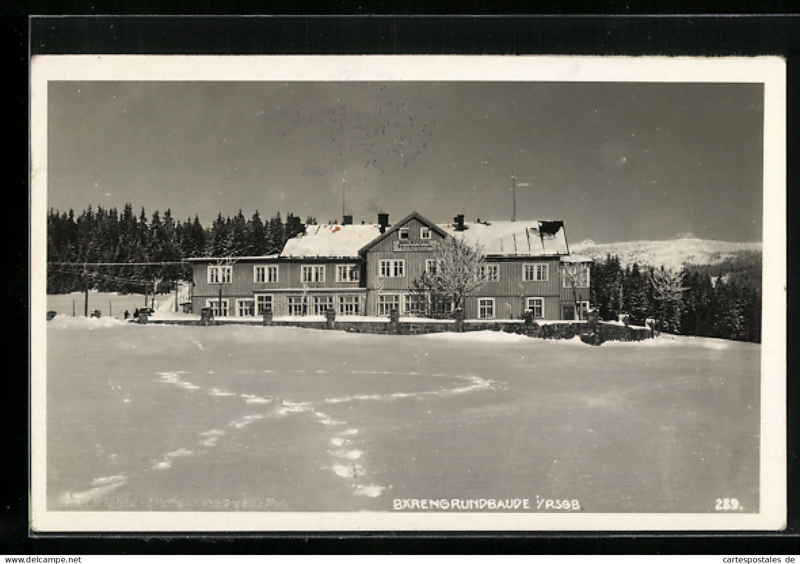 AK Spindlermühle, Bärengrundbaude Im Schnee  - Tsjechië