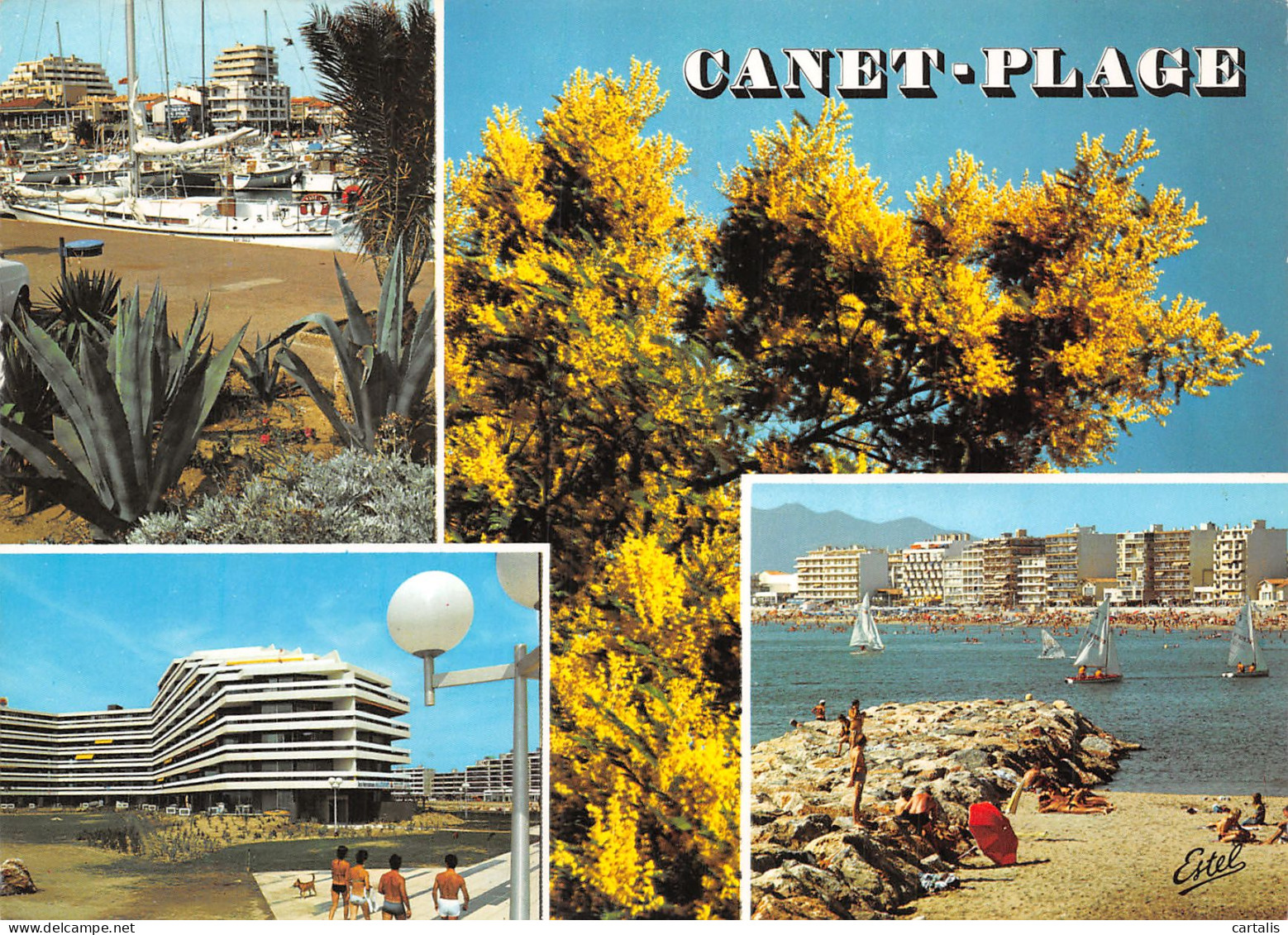 66-CANET -N°4148-A/0079 - Canet Plage