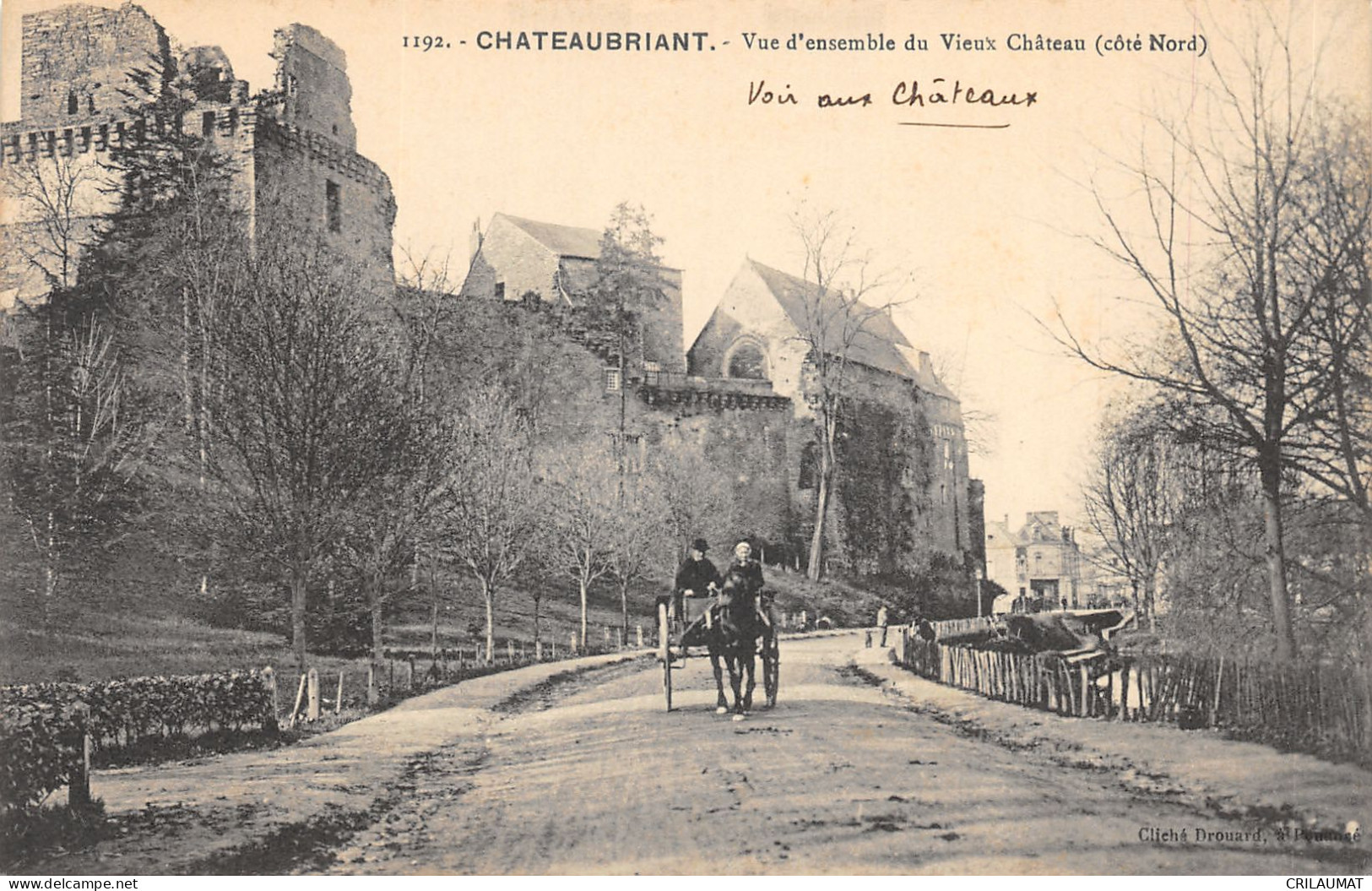 44-CHATEAUBRIANT-N 6012-E/0315 - Châteaubriant
