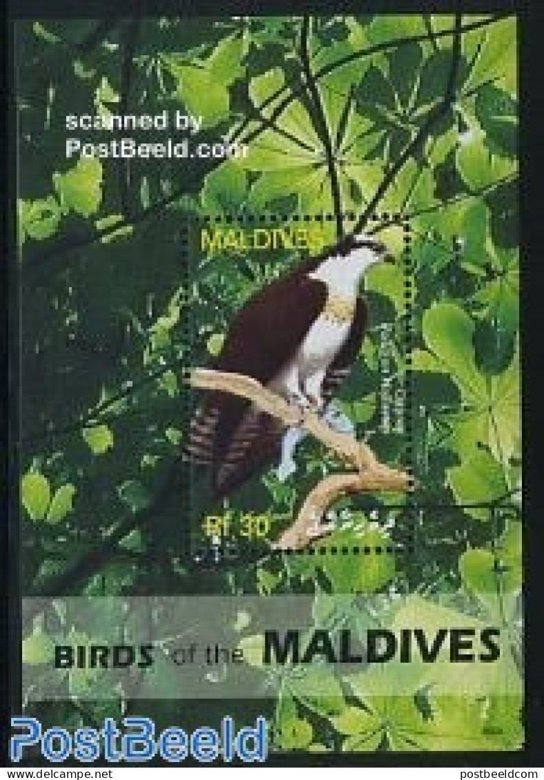 Maldives 2006 Birds Of The Maldives S/s, Mint NH, Nature - Birds - Birds Of Prey - Maldiven (1965-...)