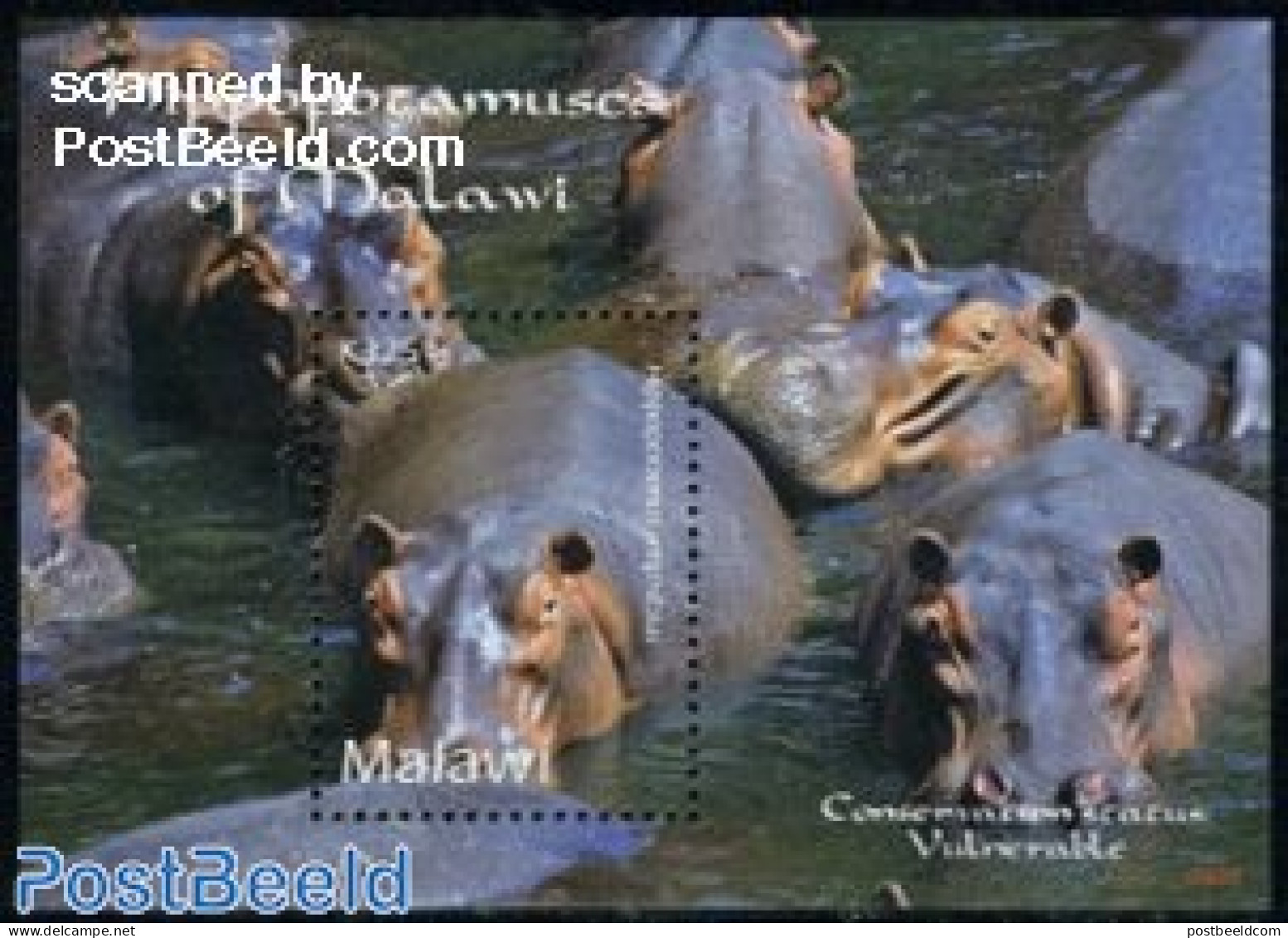 Malawi 2009 Hippopotamuses Of Malawi S/s, Mint NH, Nature - Animals (others & Mixed) - Hippopotamus - Malawi (1964-...)