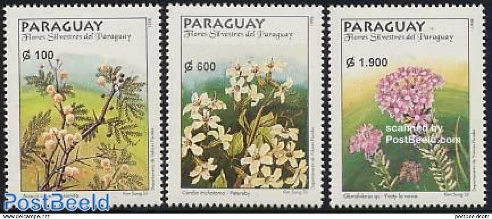 Paraguay 1998 Flowers 3v, Mint NH, Nature - Flowers & Plants - Paraguay