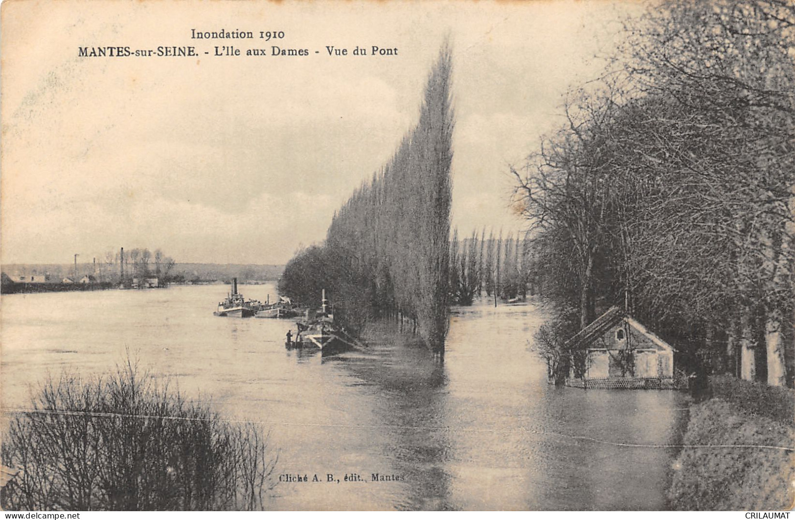 78-MANTES SUR SEINE-L ILE AUX DAMES-N 6012-G/0395 - Mantes La Ville