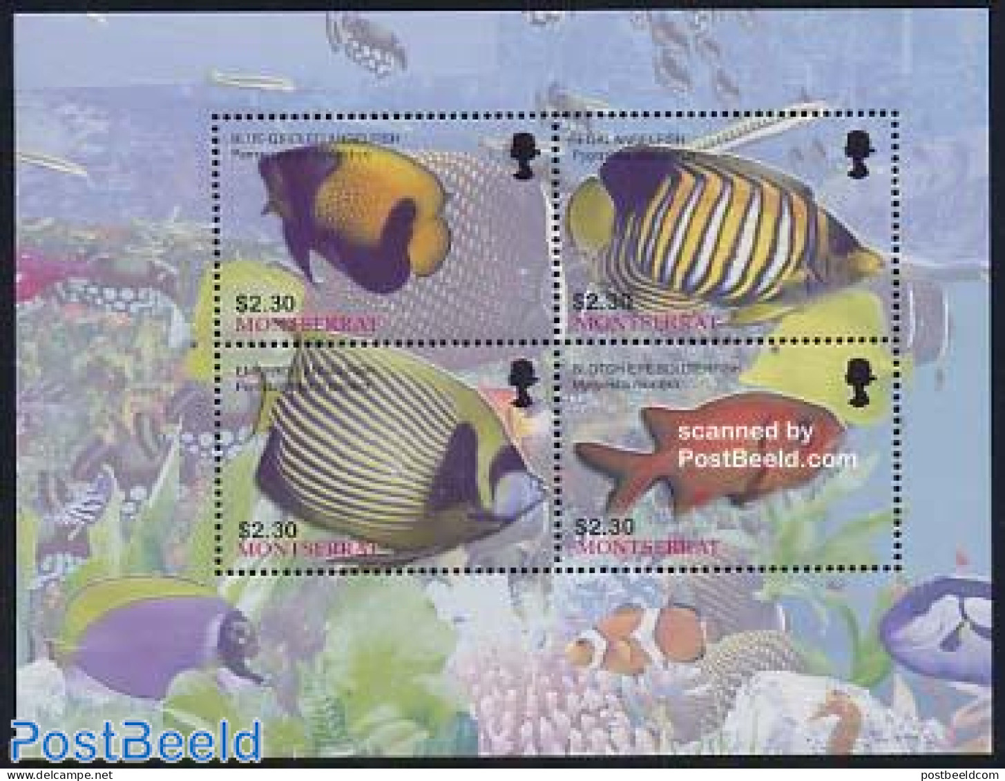 Montserrat 2004 Fish 4v M/s, Blue Girdled Angelfish, Mint NH, Nature - Fish - Fische