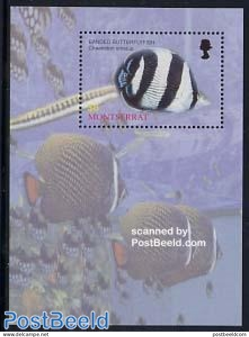 Montserrat 2004 Fish S/s, Banded Butterflyfish, Mint NH, Nature - Fish - Fische